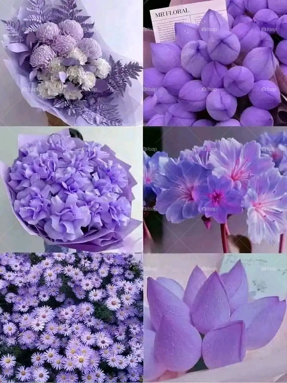 Glory be to God, the magnificent and picturesque view and the natural green trees are a view that is nothing more wonderful than it