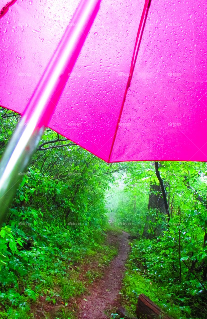 Hiking in the Rain