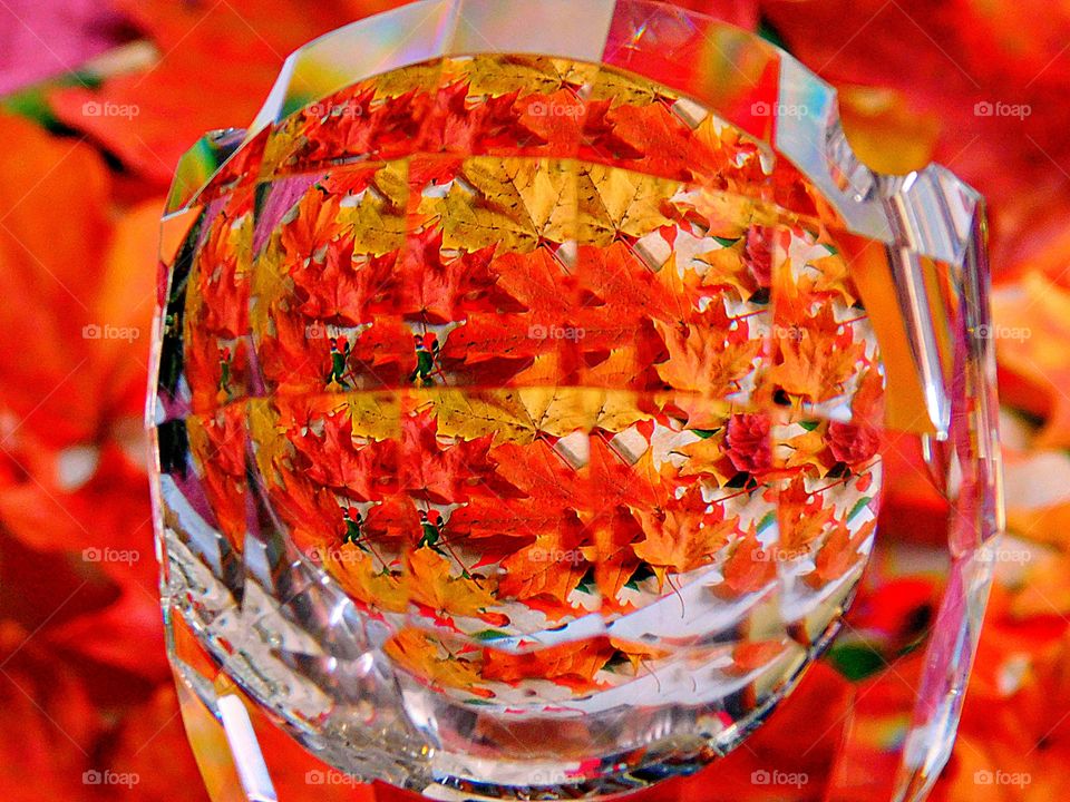 Through the prism - When it comes to fall color, sugar maples are at the top of the list. This Canadian maple tree natives are absolutely spectacular in autumn when their foliage turns to shades of red, orange, and yellow