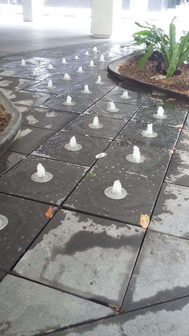 Water