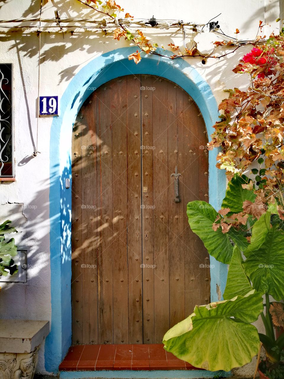 Mediterranean door