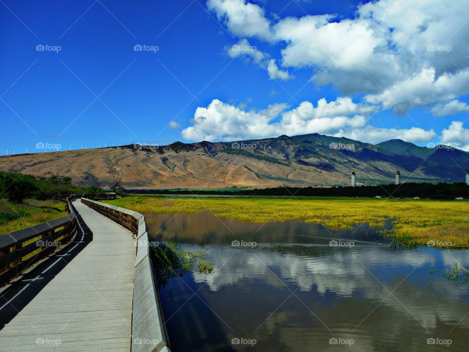 Boardwalk over lake leading towards mountain