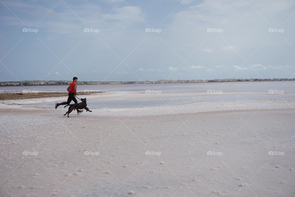 Sunrise#beach#ocean#human#dog