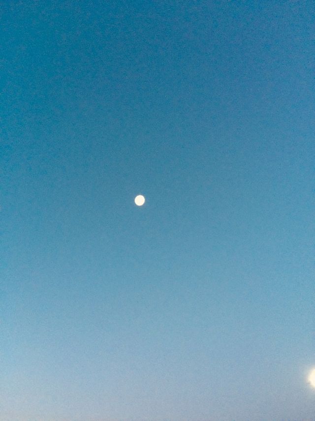 Beautiful Moon 