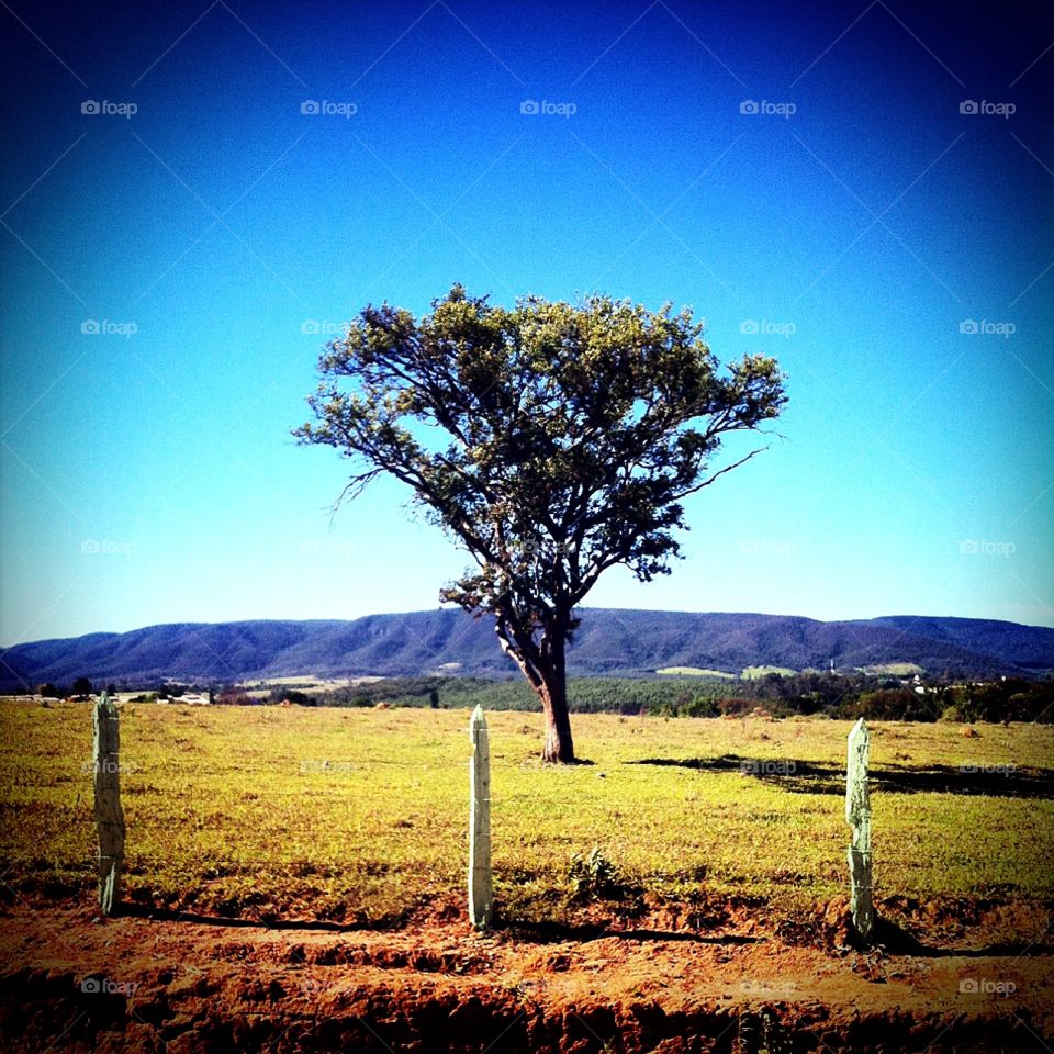 🧠 #Desestressando em #clicks - A Serra da Ermida ao fundo,
Vista do Jardim Teresa Cristina. 
📸 #Fotografia é nosso #hobby, pois há a necessidade de “men sana in corpore sano”.