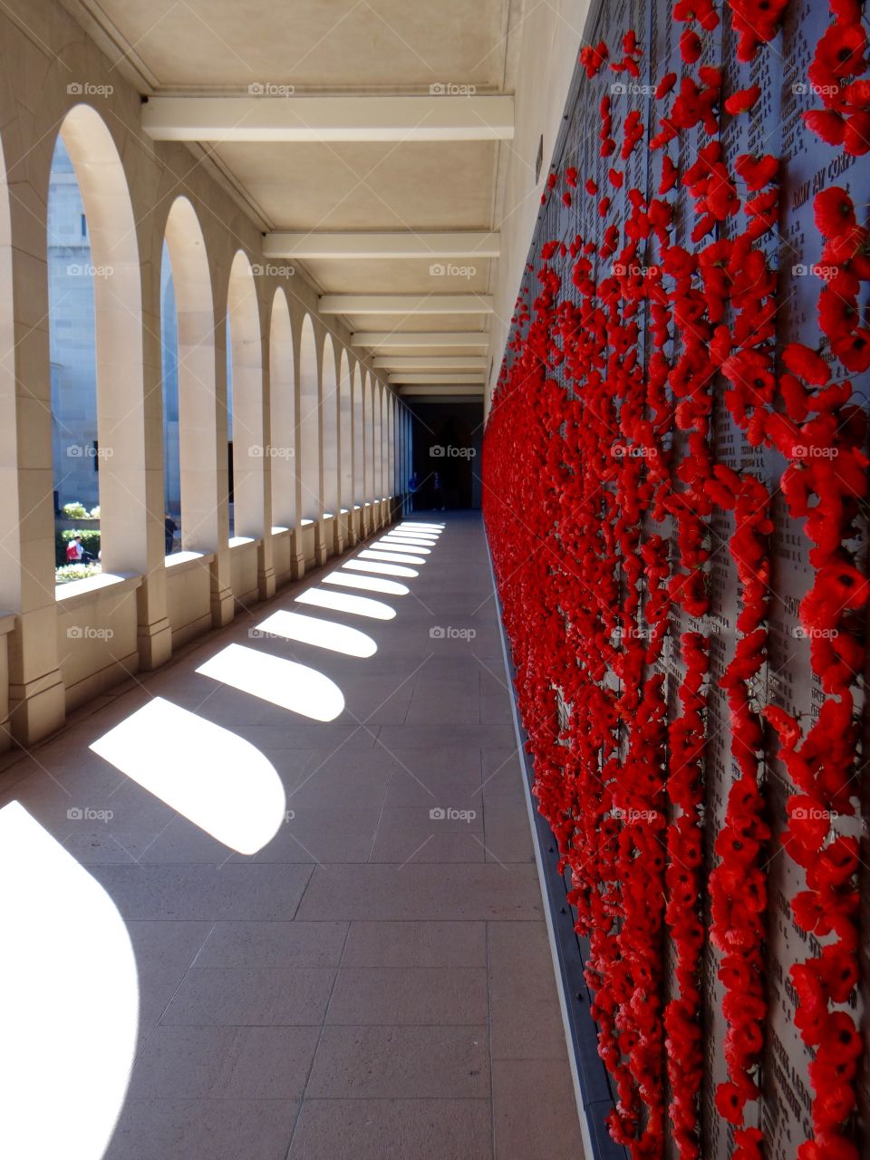 Perspective look at Australian war memorial poppies on the wall of sacrifice