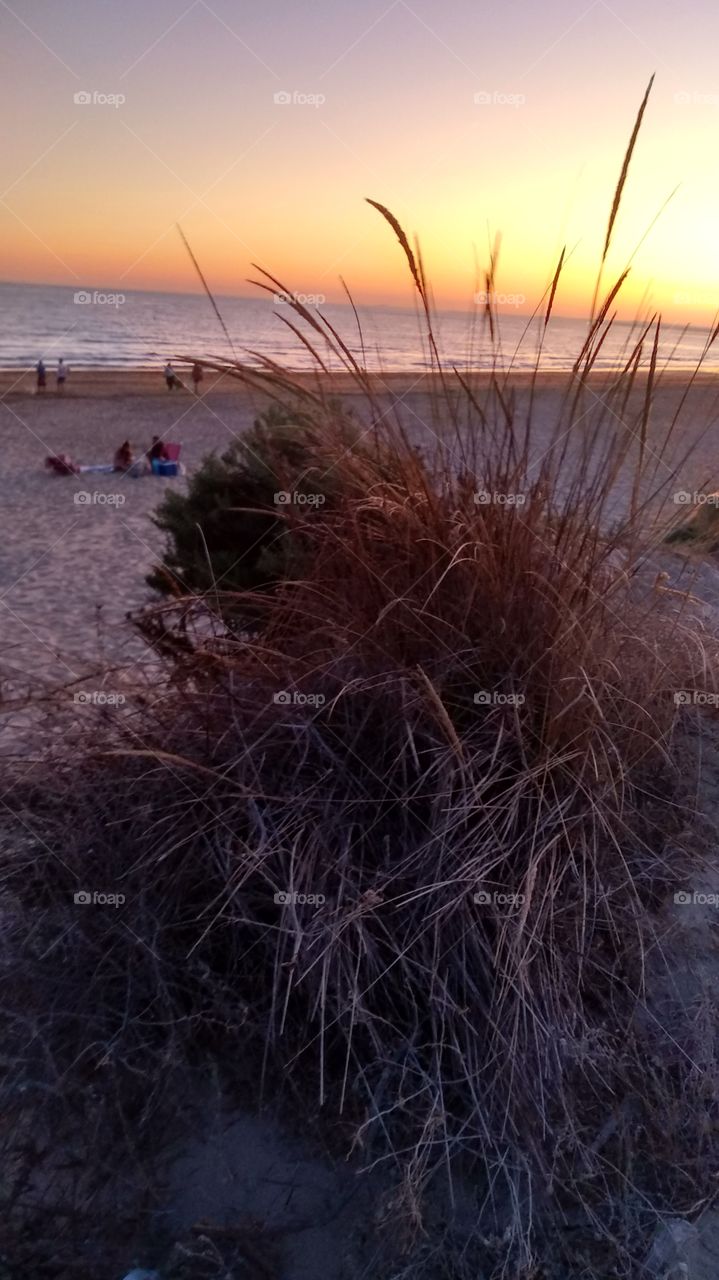 sunset between dunes
