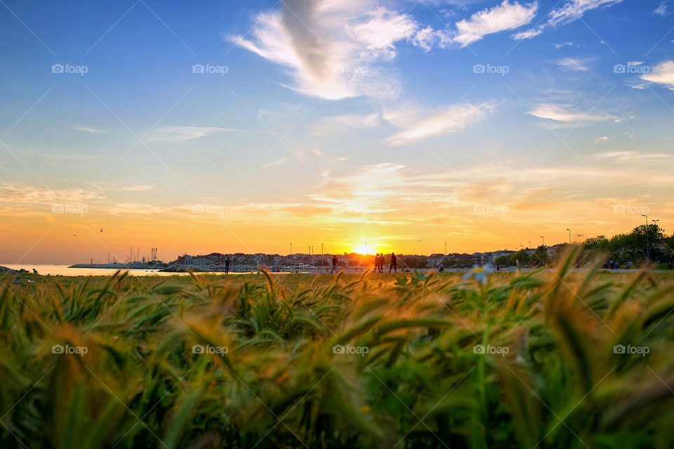 the gold colors on the seaside. the golden summer sunset on the shores of the sea in Istanbul