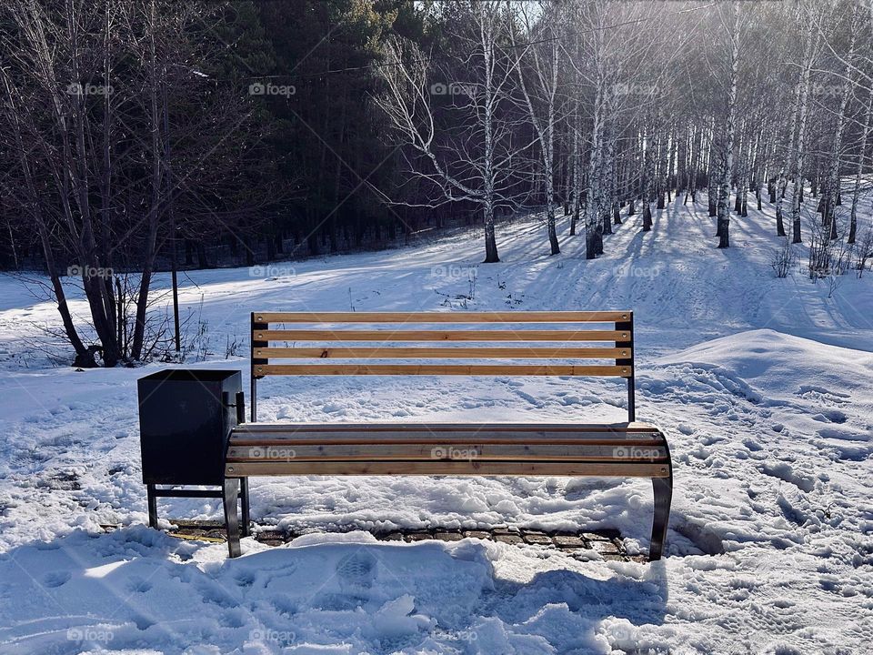 bench in the park