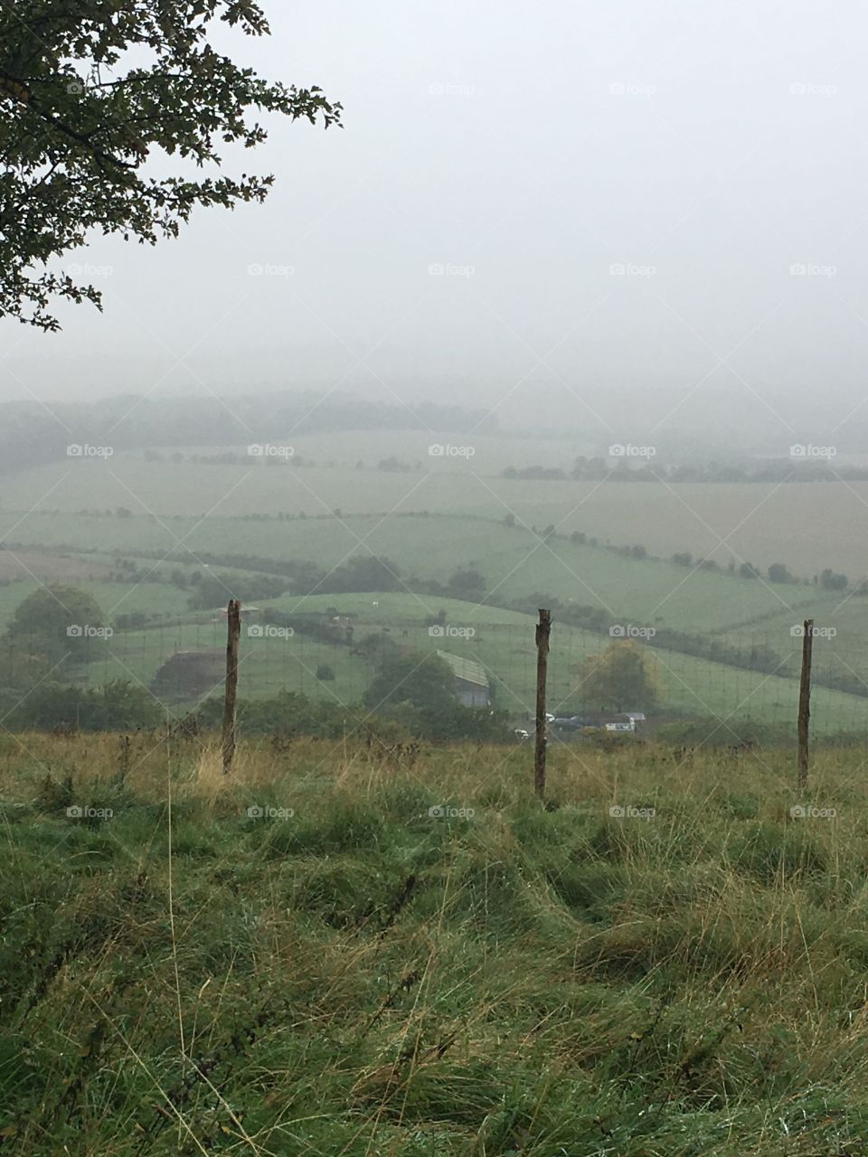 Farmland in England on a very foggy day 