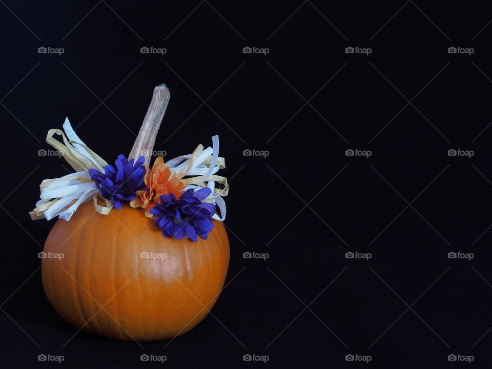 A single pumpkin decorated country style with purple and orange flowers and white a brown paper ribbon against a black background with lots of copy space. 