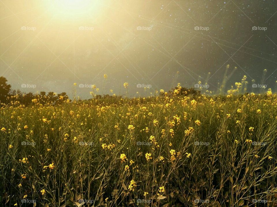 Nice View Photo Village