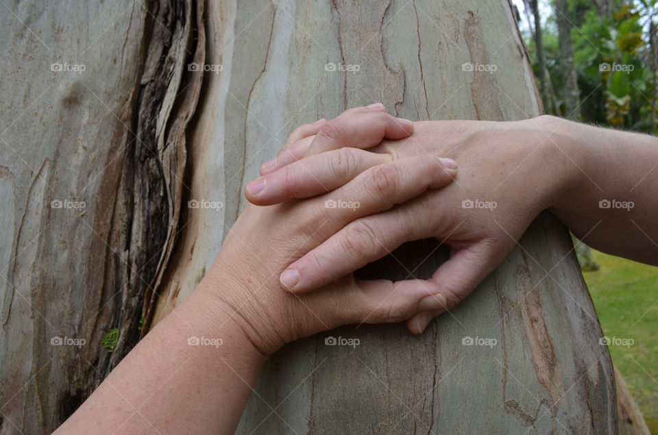wood tree hands love by katago