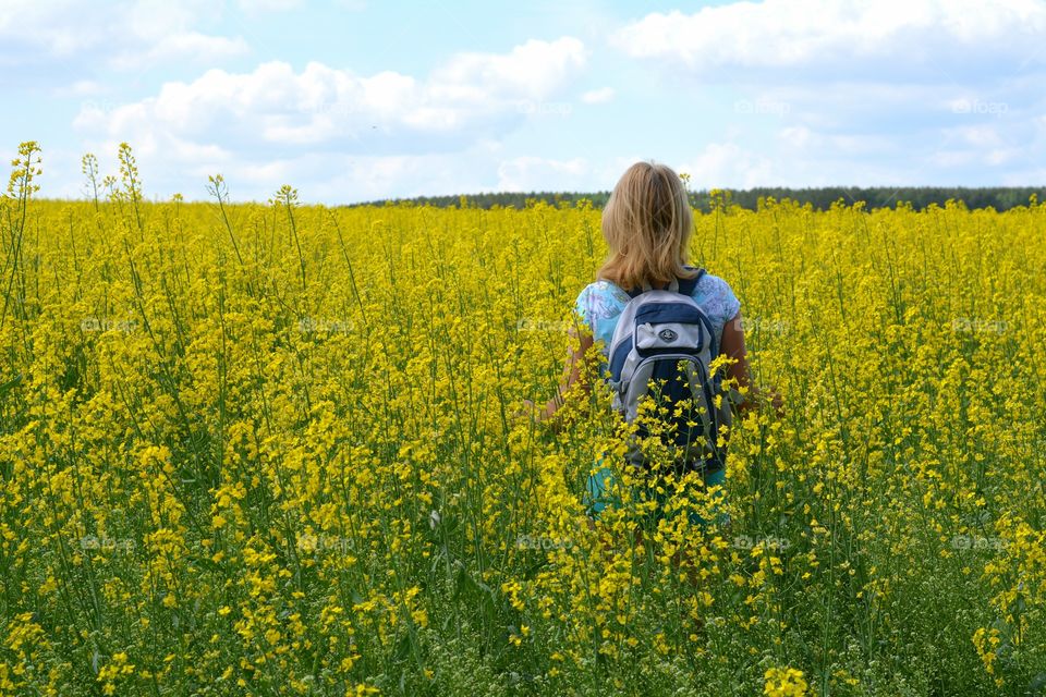 Field, Landscape, Flower, Hayfield, Agriculture