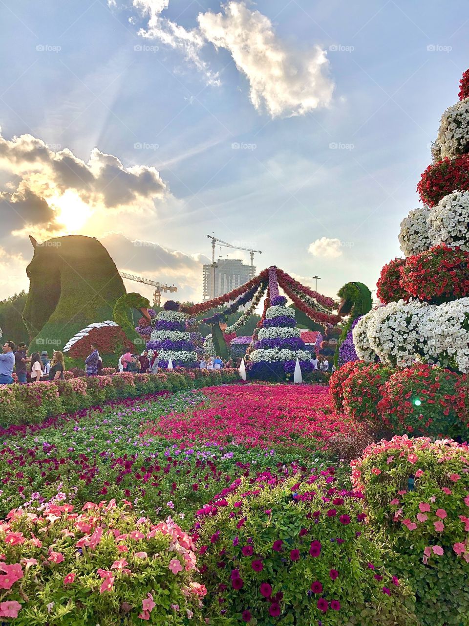 Dubai Miracle Garden