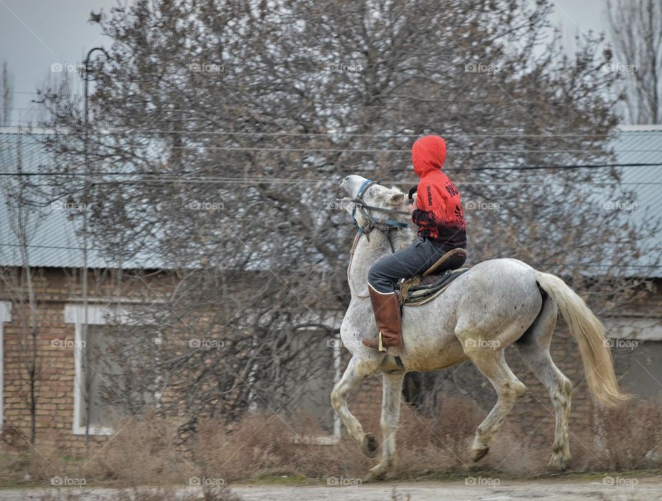 rider in cowboy boots prancing on a white horse