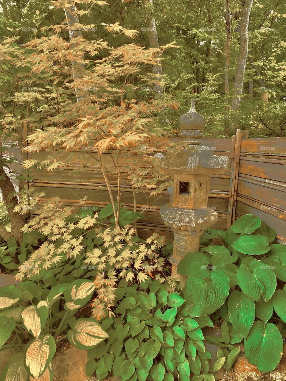 Vivid, rich, and healthy leaves 