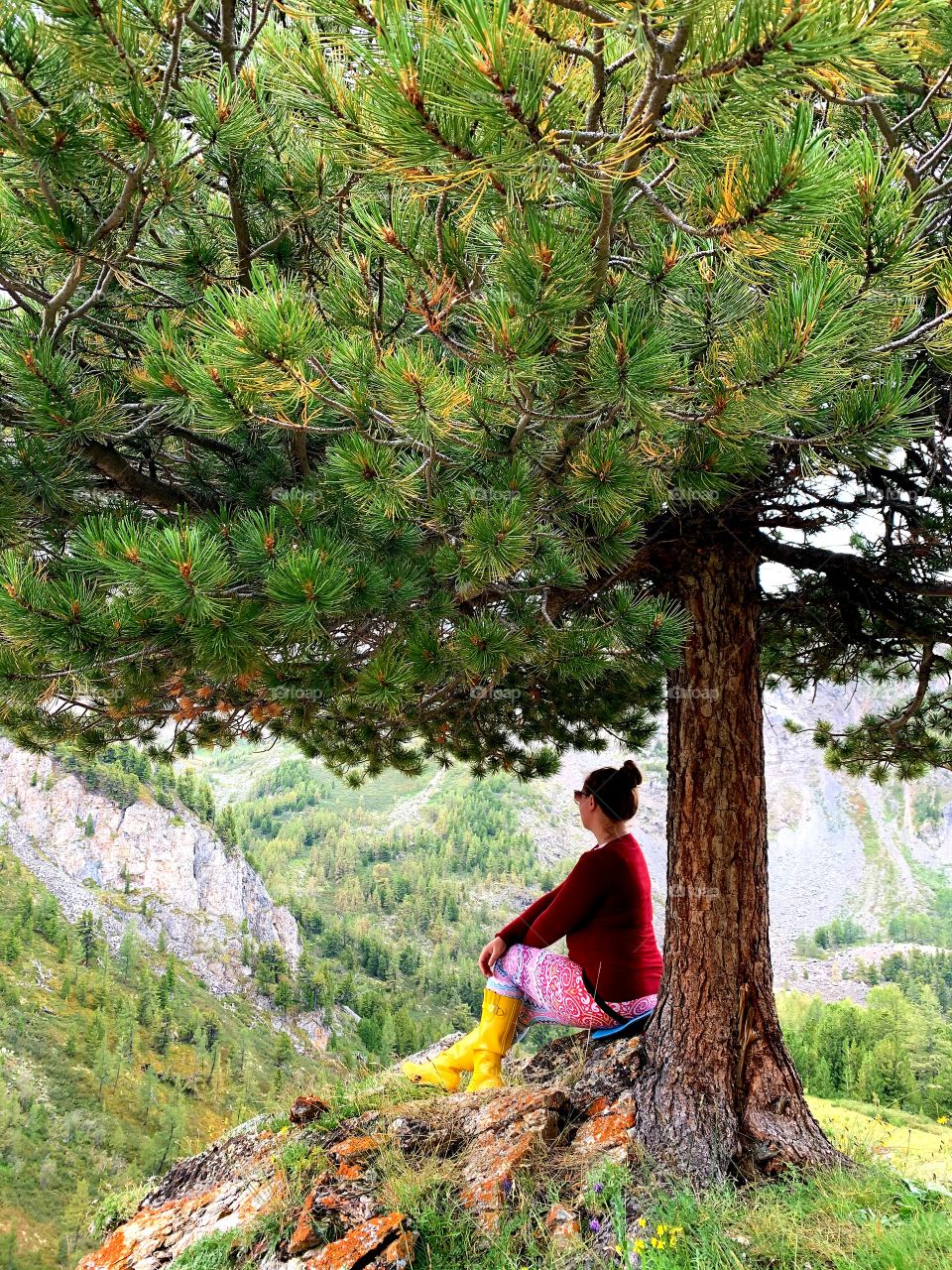 girl under the tree