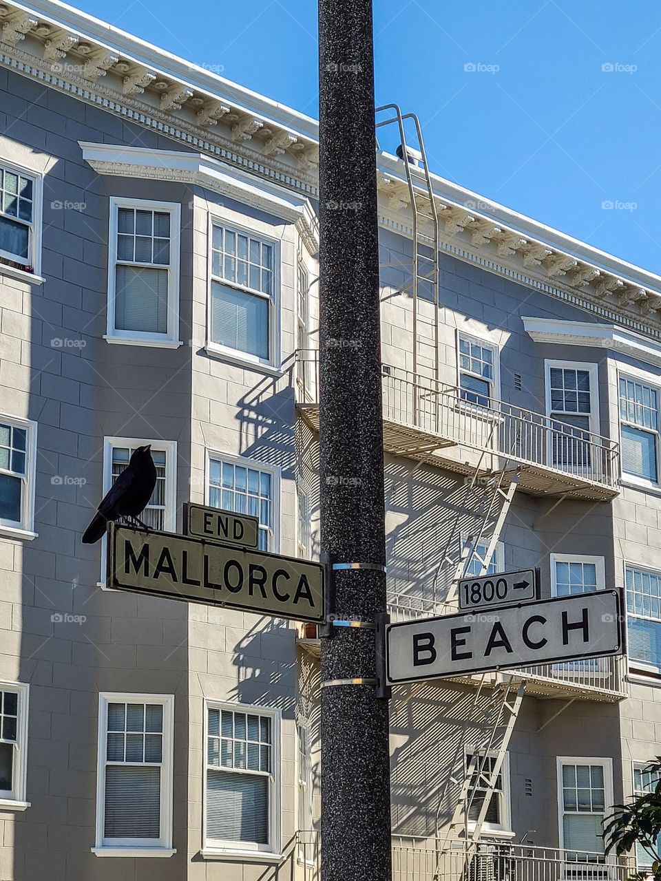 Corner of Beach Street and Mallorca in San Francisco California with a blackbird perched on the street sign 