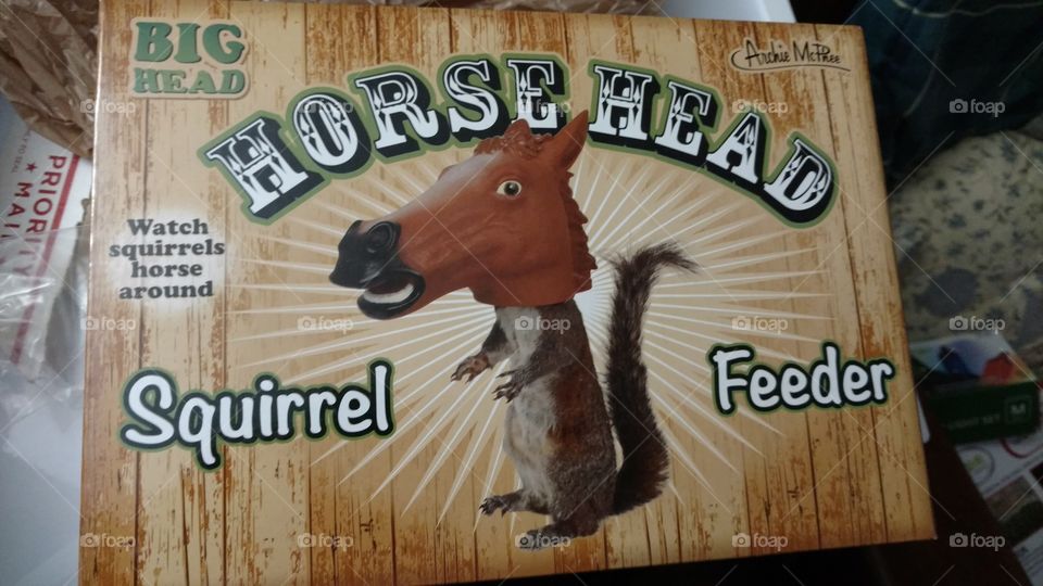 Horse head squirrel feeder