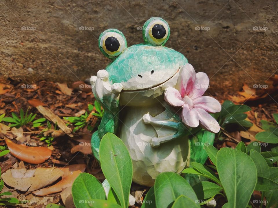 Happy Frog