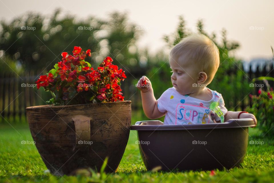 Baby girl in a basket picking up flower