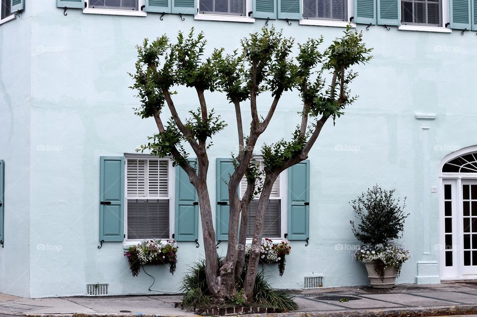 Colors of Charleston