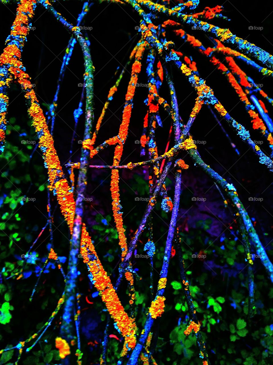 color tree. art.
