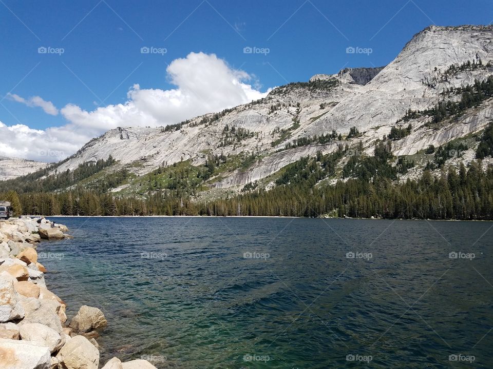 Beautiful Tenaya Lake in Yosemite