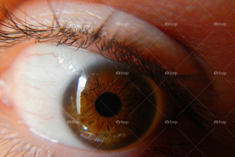 close-up of human eye with details of light brown iris