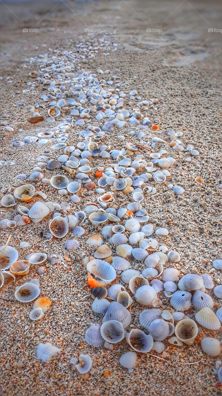 Beach path
Location: Kuala Terengganu, Malaysia
Photo taken using Samsung phone