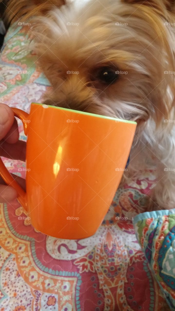 She loves coffee...good to