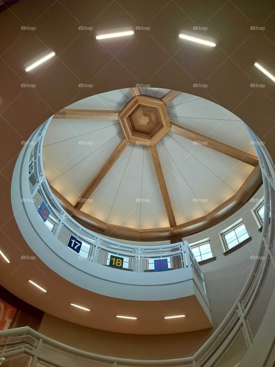 Dome from Below