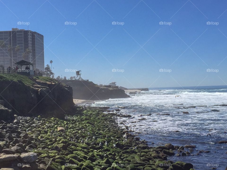 Seashore in San Diego,California
