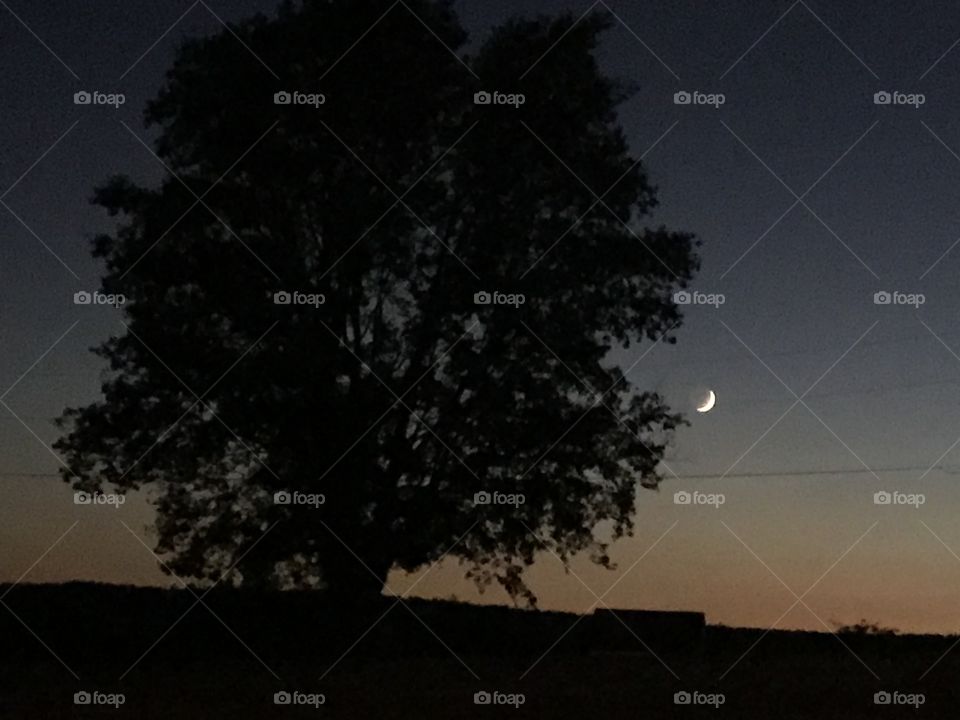 Luna illuminates the shadows during the final moments of sunset on a late summer evening 