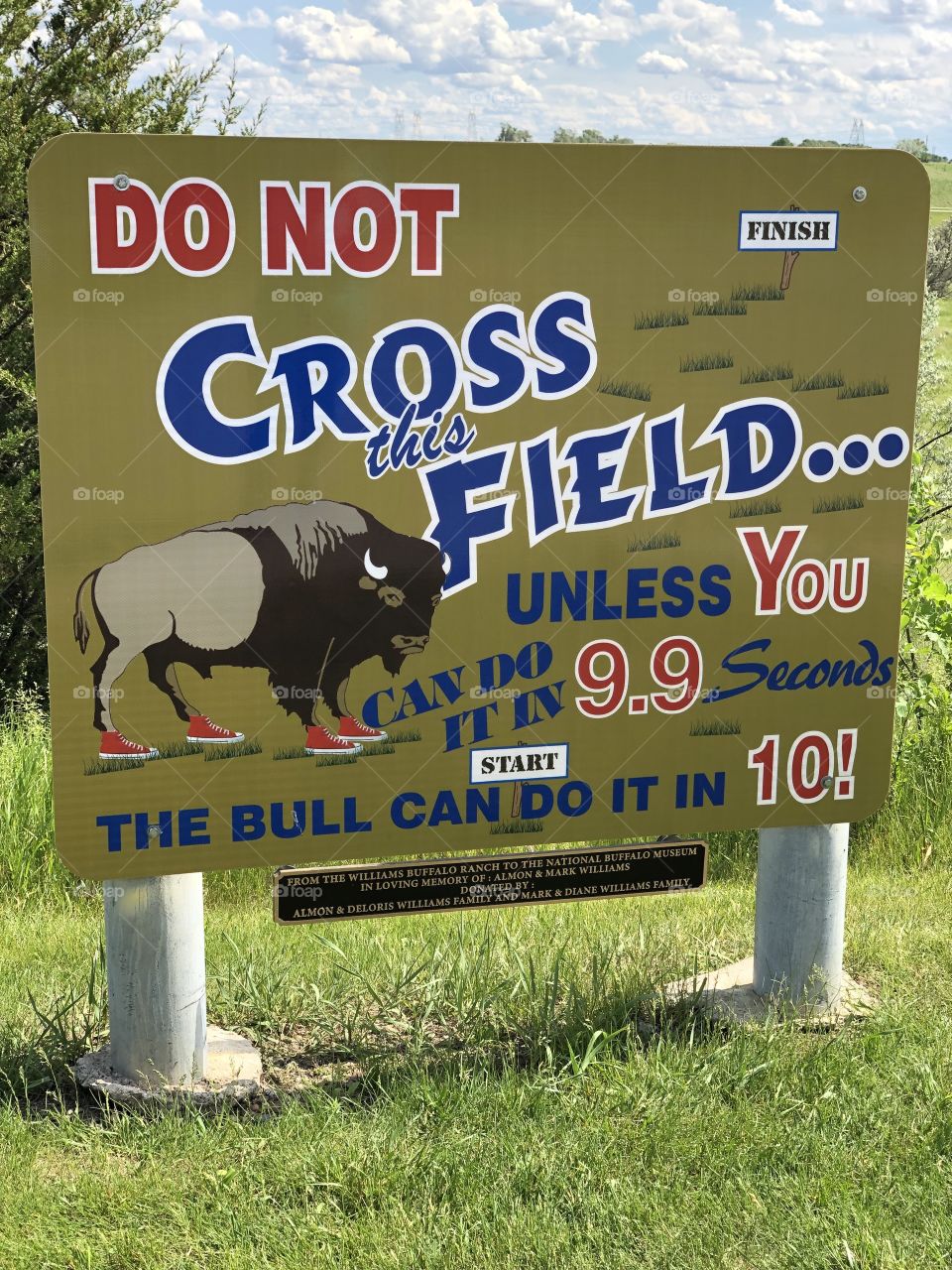 Buffalo Warning