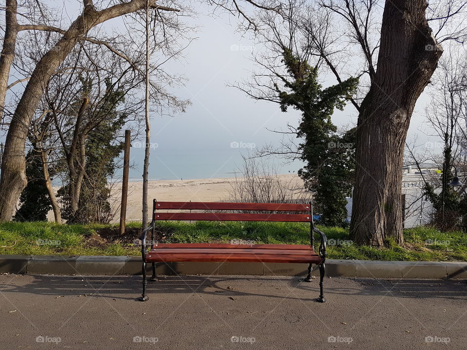 Bench on the beach