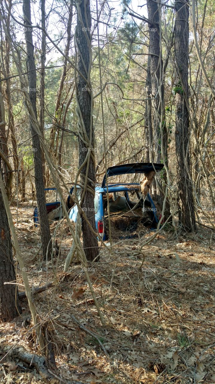 abandoned VW