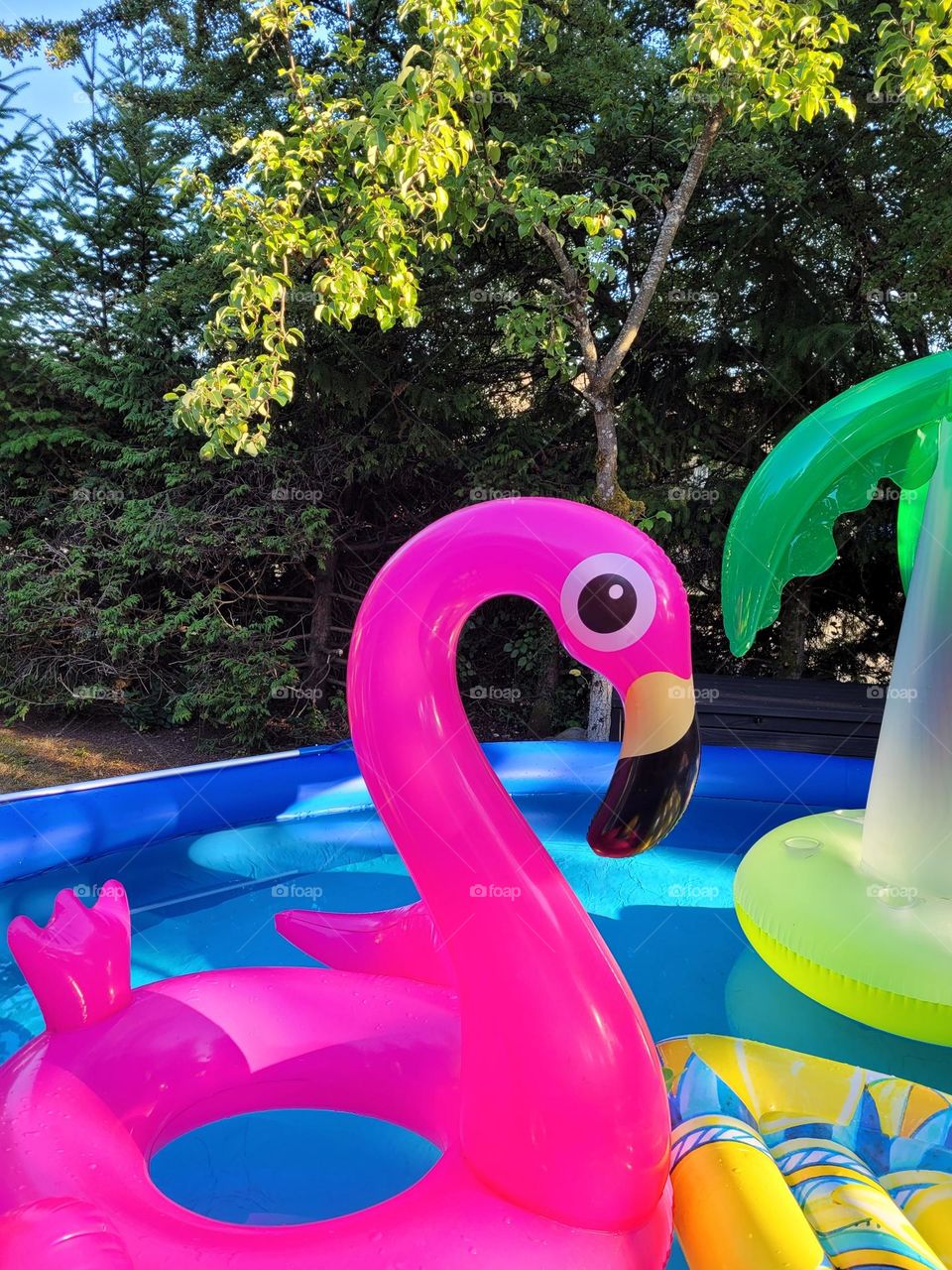 neon pink flamingo pool toy outside in a pool in summertime