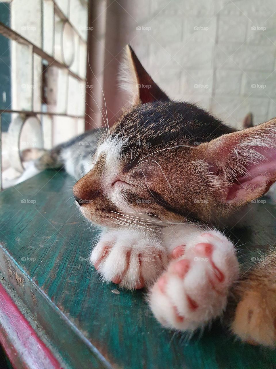 Editors ' choice : Photo.of the week