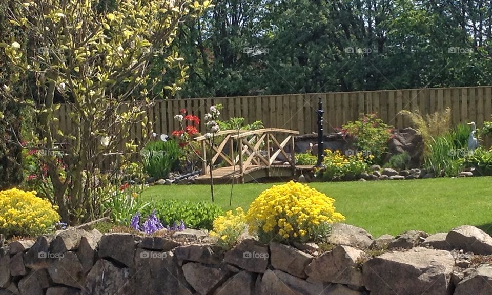 Garden. Garden, bridge, Grass