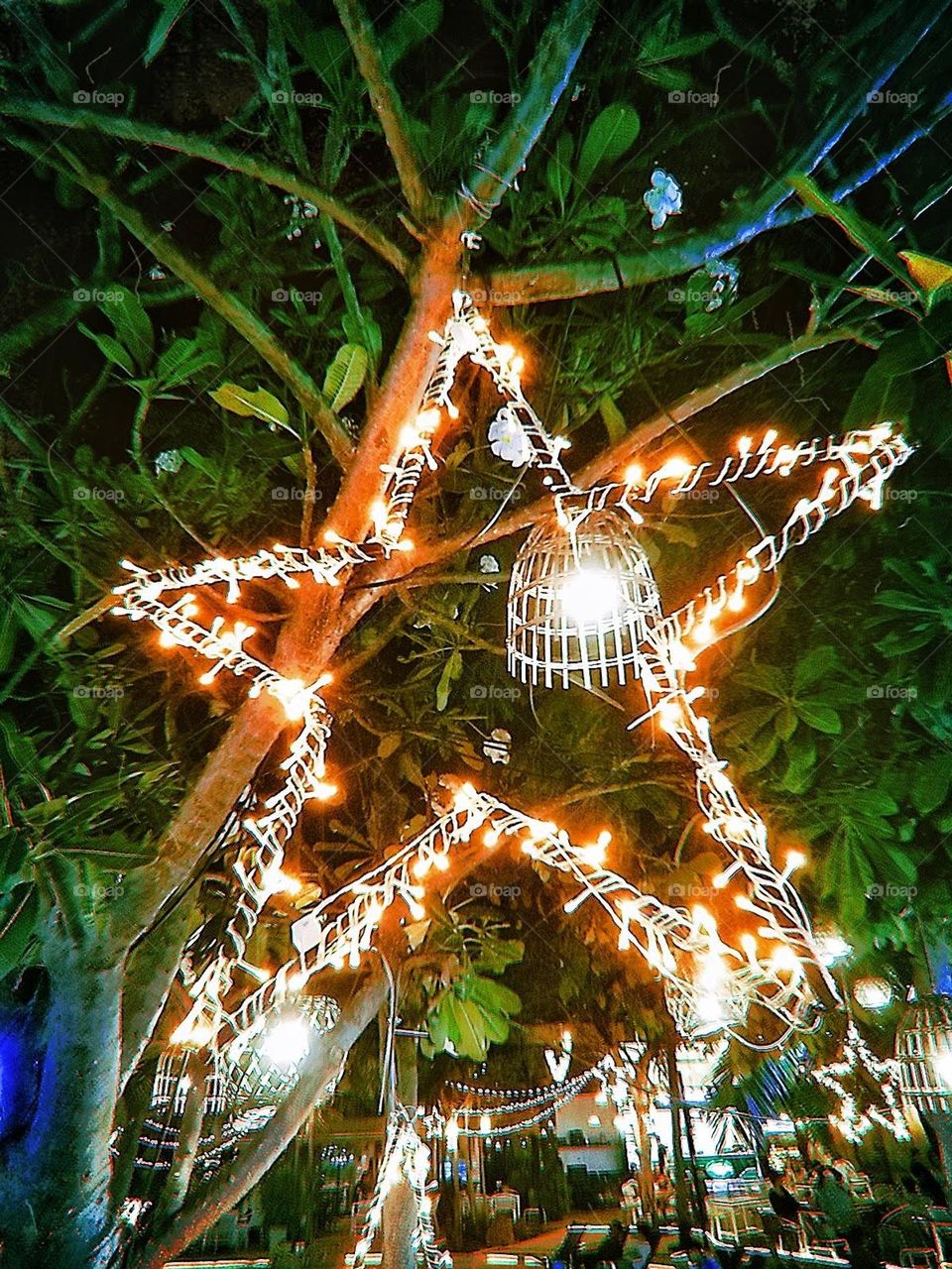 The star-shaped light bulb is shining.