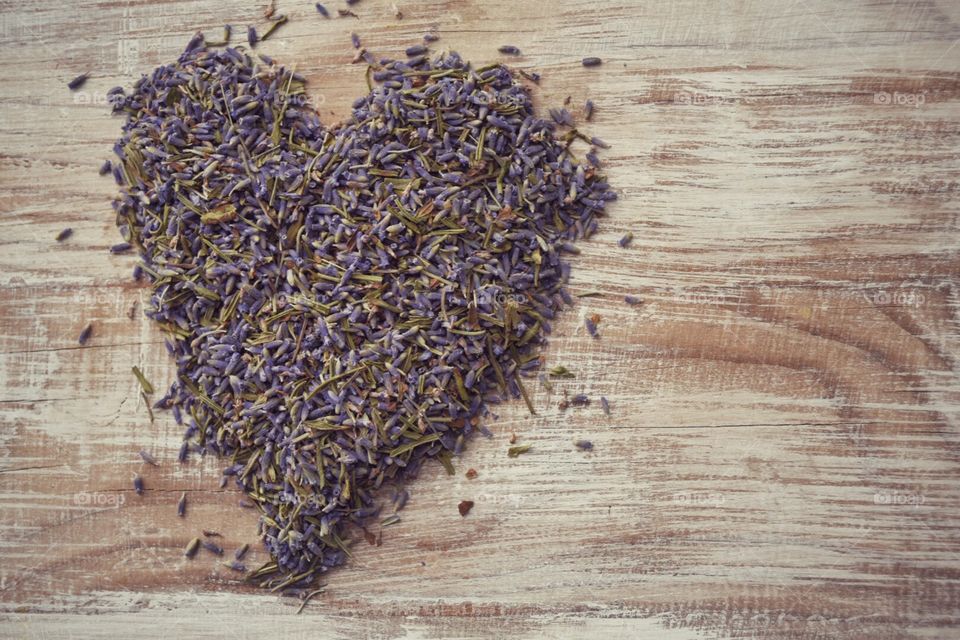 Heart of lavender