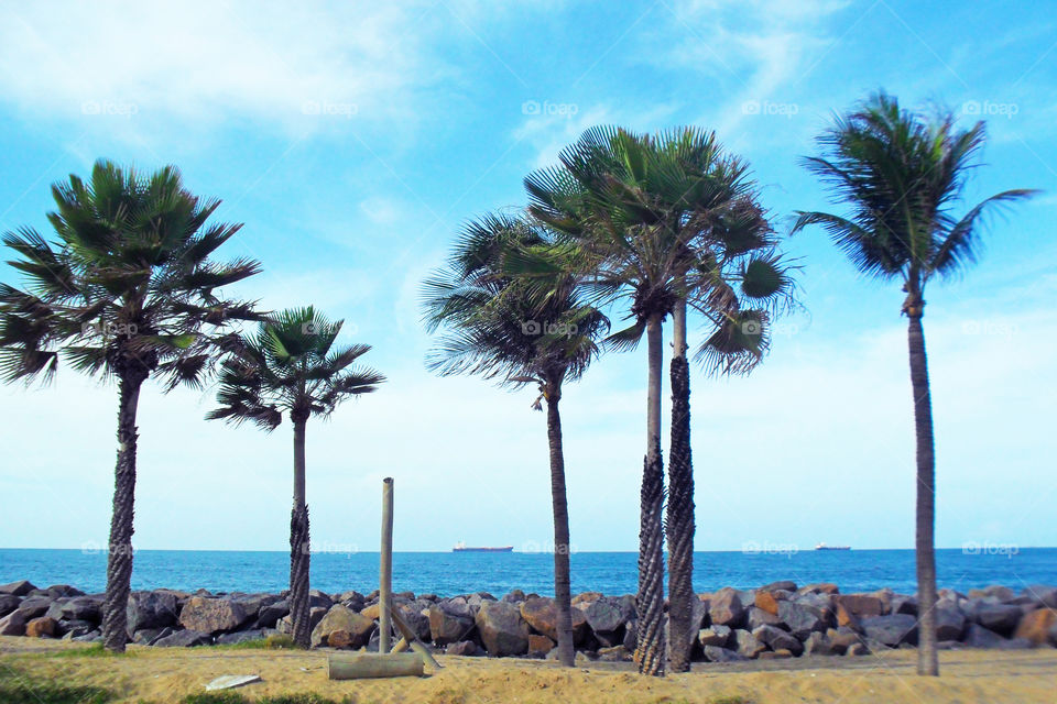 Ships on the horizon