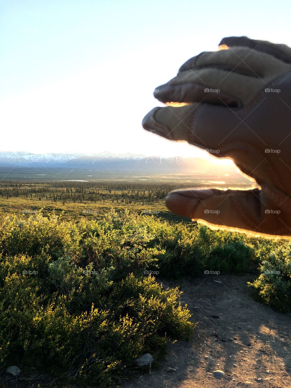 Sunrise in Alaska near the Denali Highway