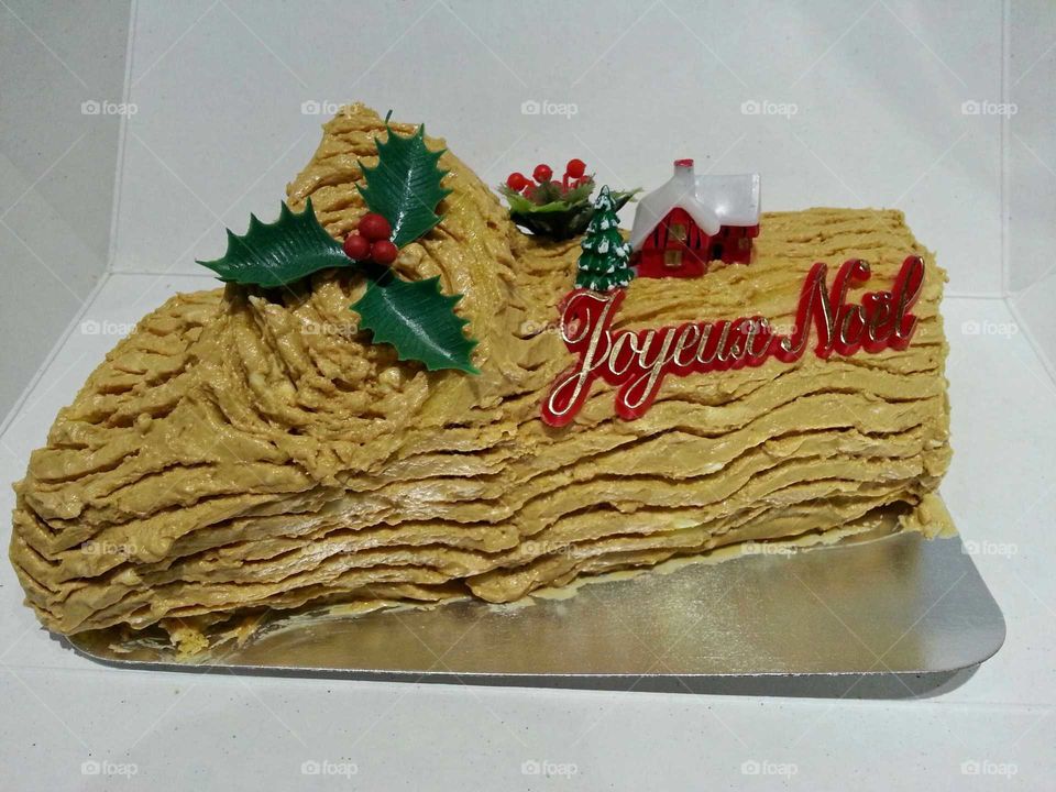 Christmas log cake!