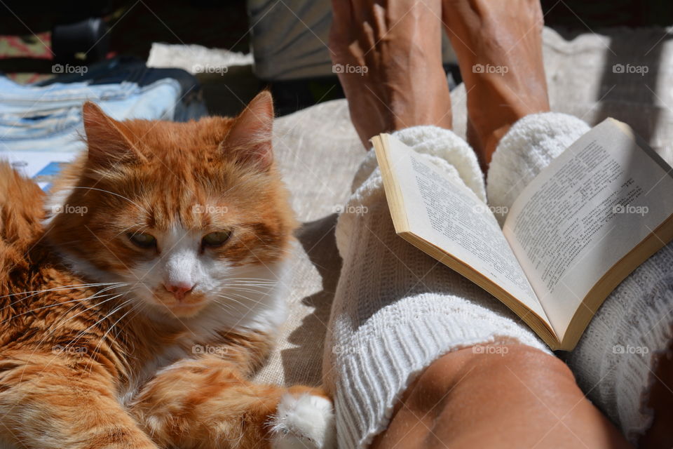 female legs woman reading book and ginger cat, family, love pet