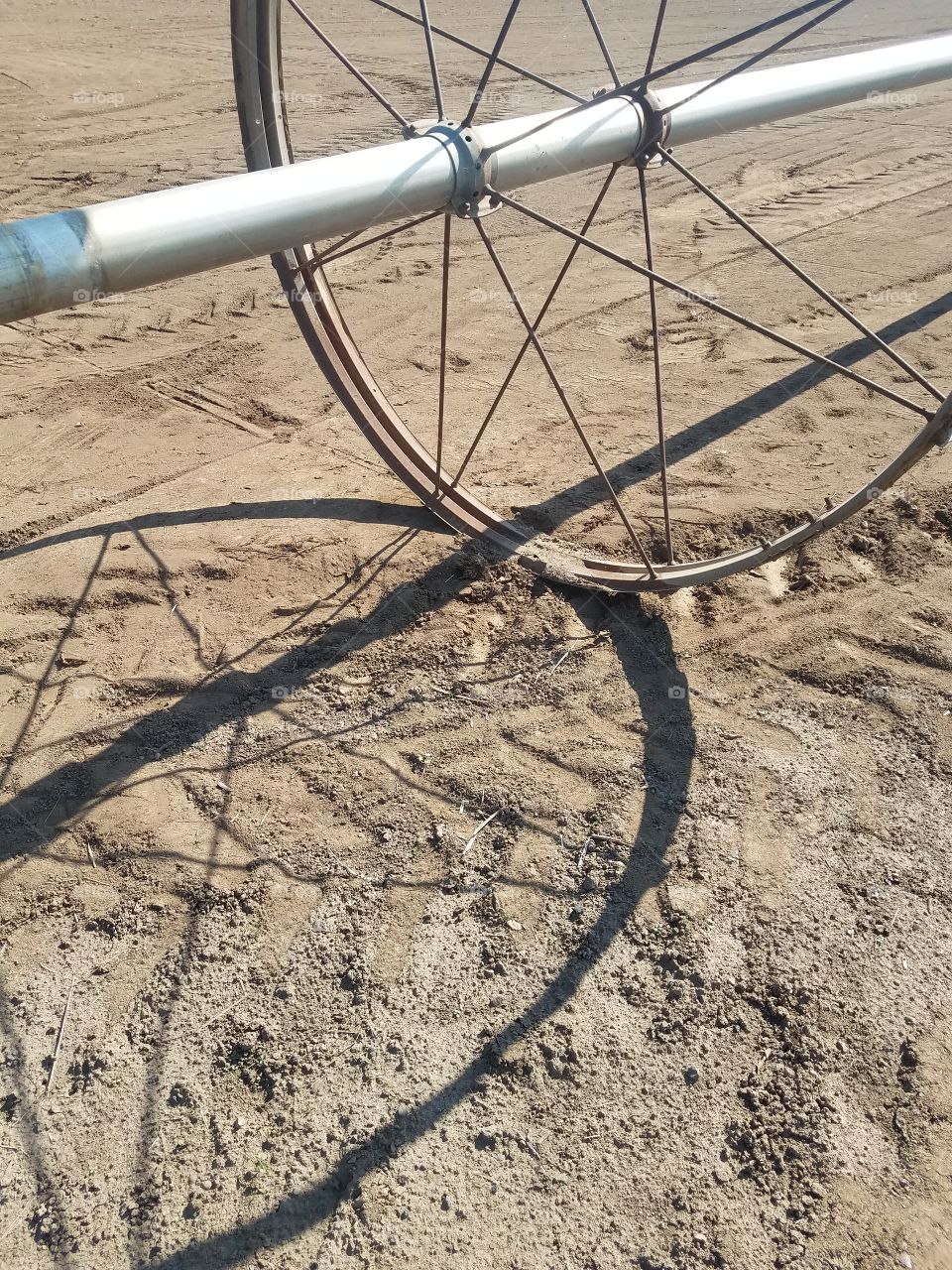 Wheel Shadow