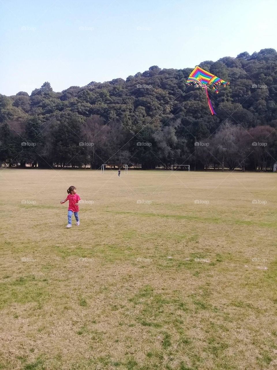 Kite 