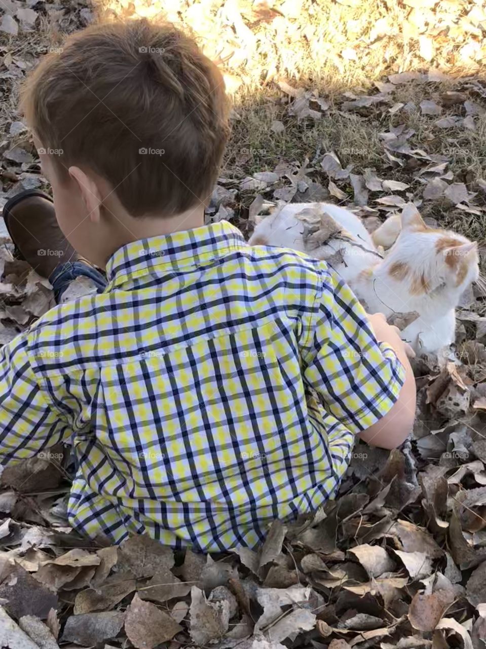 Boy and cat in leaves